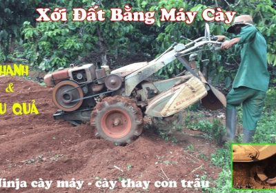 Dịch vụ làm đất bằng máy cày đa năng