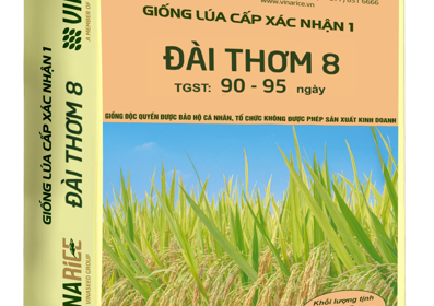 Hạt giống lúa Đài Thơm 8 xác nhận