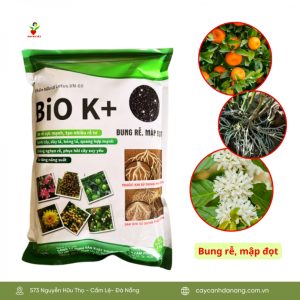 Phân bón hữu cơ Bio Active 25kg