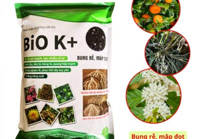 Phân bón hữu cơ Bio Active 25kg