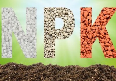 Phân tích đất tư vấn phân bón tối ưu