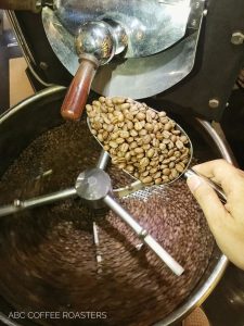Trang trại cà phê Arabica Đà Lạt