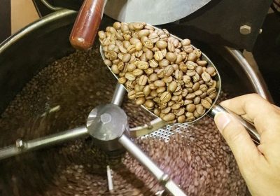 Trang trại cà phê Arabica Đà Lạt