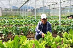 Trang trại Rau Sạch Đà Lạt