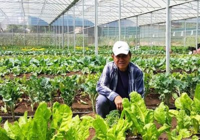 Trang trại Rau Sạch Đà Lạt