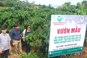 Tư vấn canh tác hữu cơ