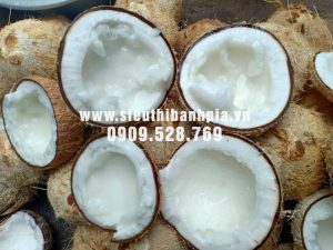 Vườn Trái Cây Miền Nam